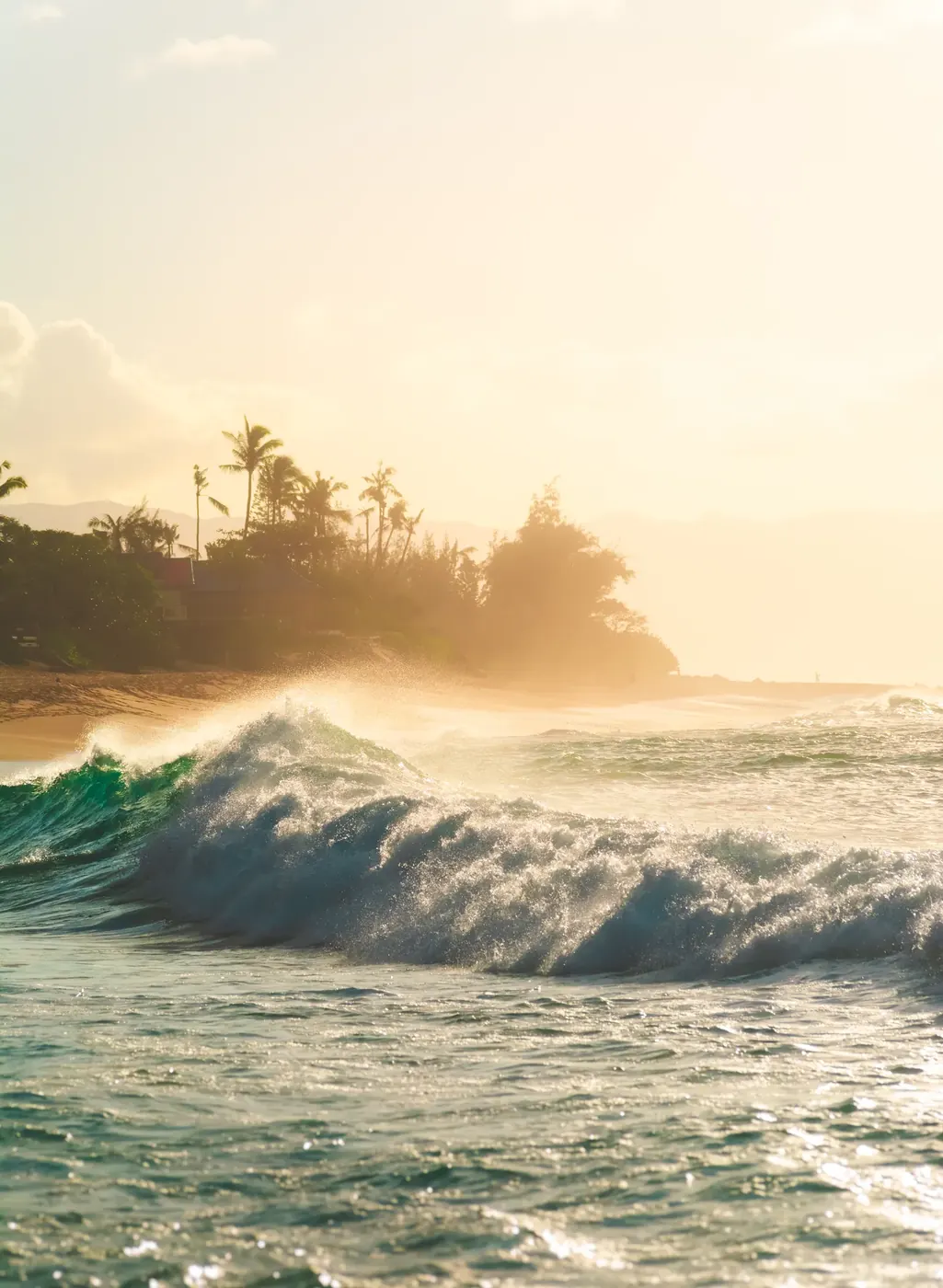 A sunlit ocean wave breaking near shore