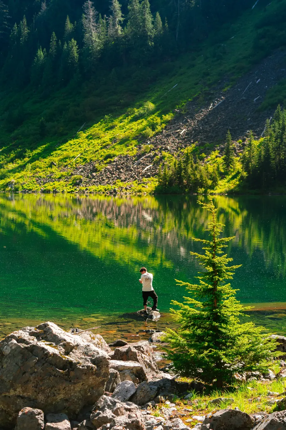 A person standing in a brilliant green alpine lake beneath sunlit forest