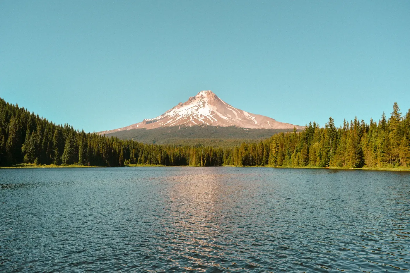 A snow-streaked mountain rising beyond a forested lake in warm light