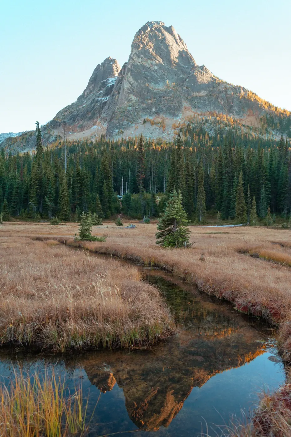 A jagged mountain and golden meadow reflected in a narrow alpine stream