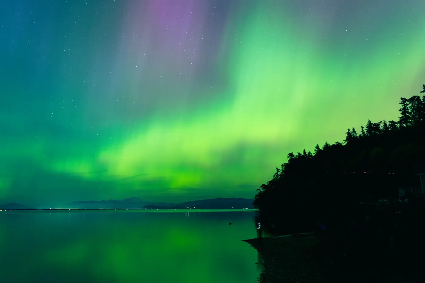 Green aurora stretching over water and forest
