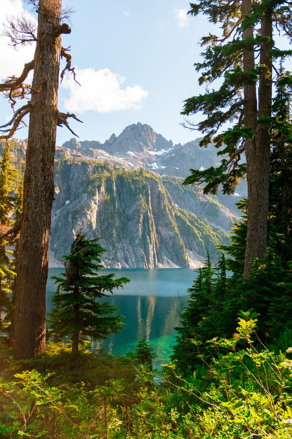 An alpine lake framed by tree trunks and mountain peaks