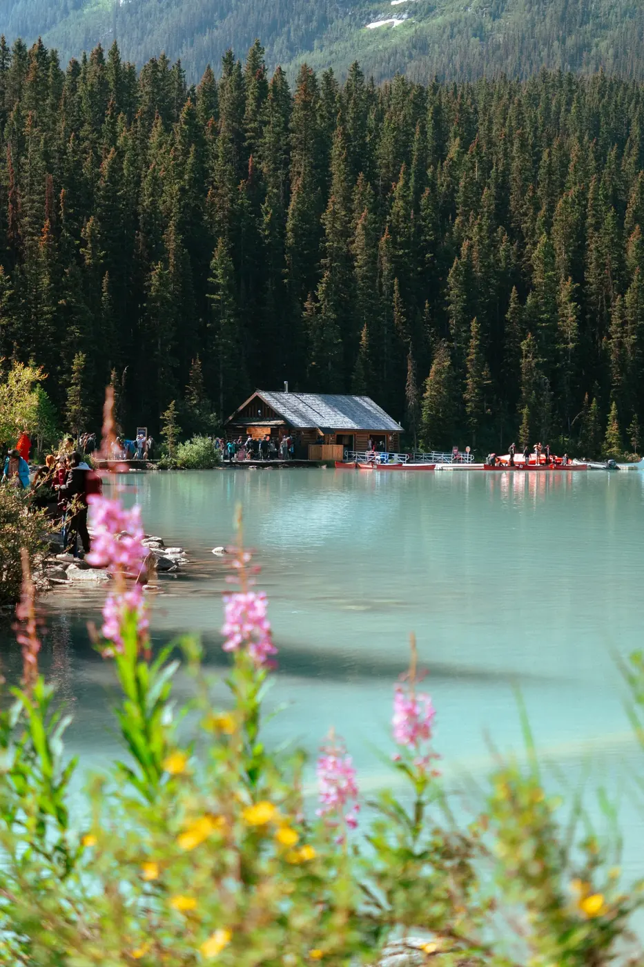A lakeside landing surrounded by forest