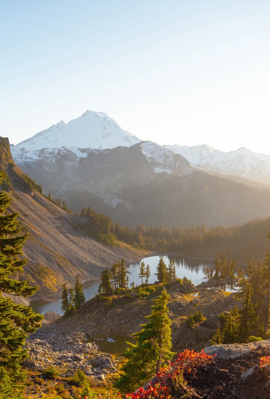 A small lake and evergreen trees below a snow-covered mountain in golden light