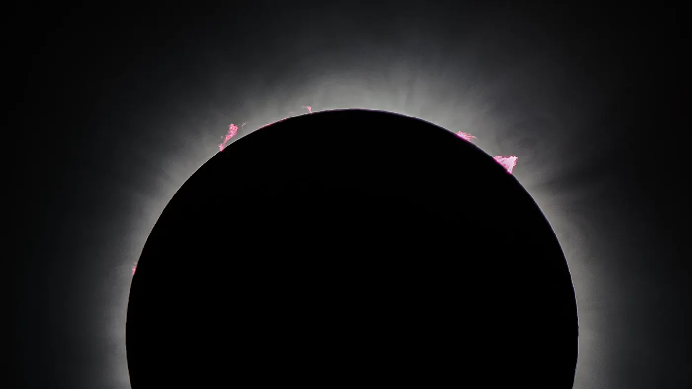Solar prominences visible around the dark moon during totality