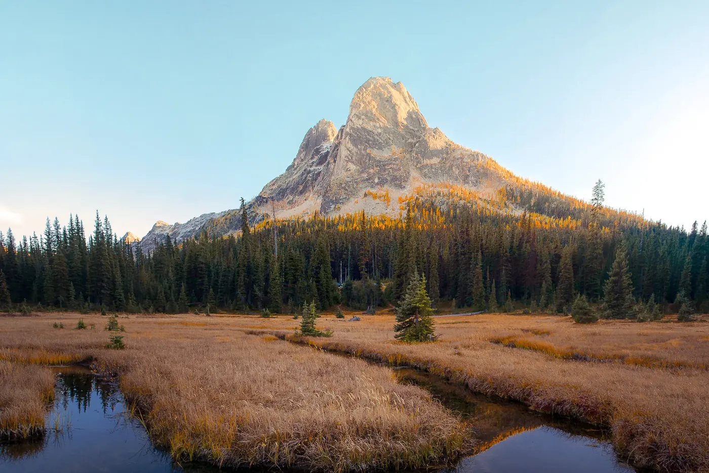 A sharp mountain peak above a golden meadow